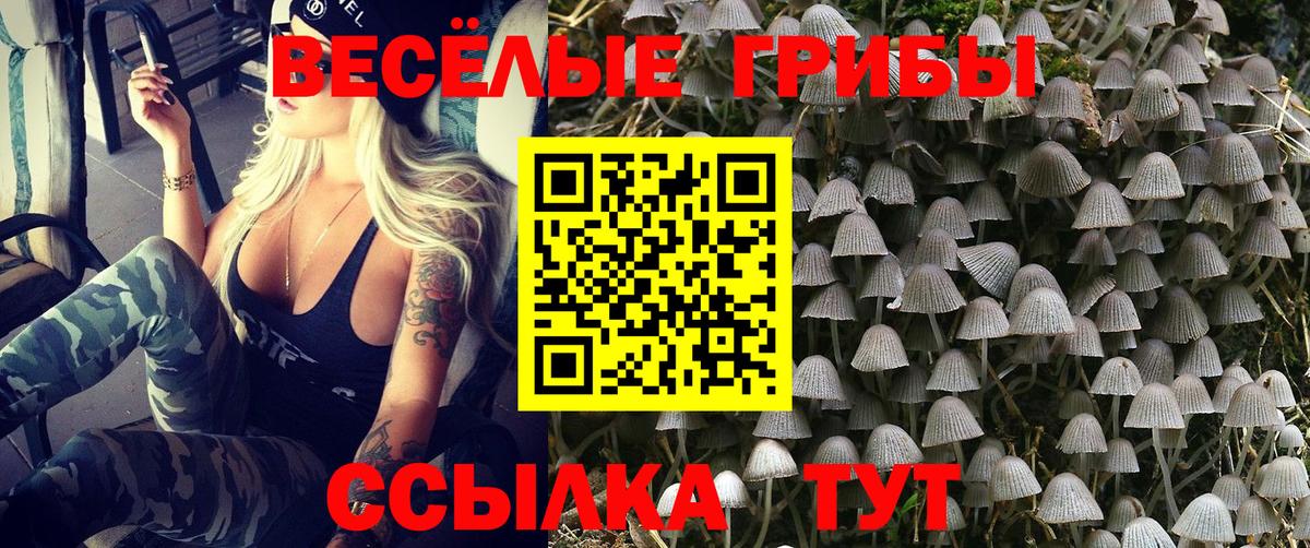 Галлюциногенные грибы GOLDEN TEACHER Горно-Алтайск