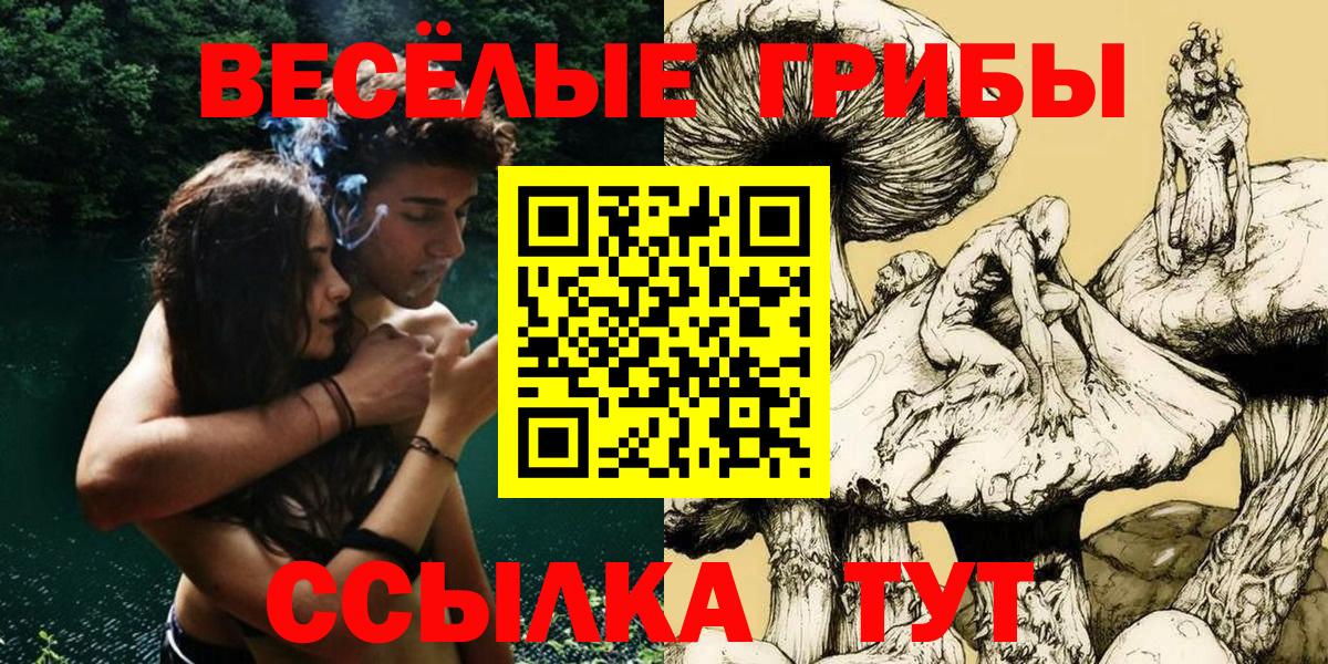 Псилоцибиновые грибы прущие грибы  Вход с VPN  Горно-Алтайск 